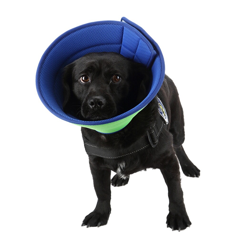 S/M/L/XL Pet Protection Collar Adjustable Soft Dog Cone Restores Collar And Cone