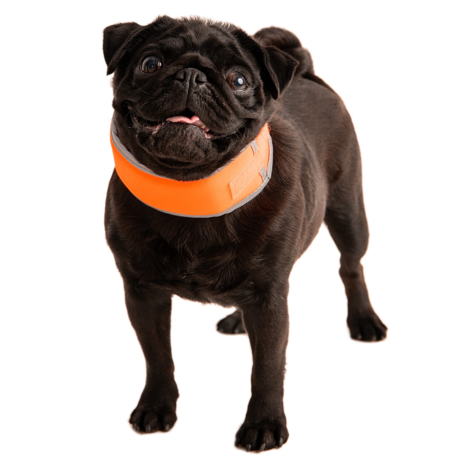 CoolerDog High-Vis Cooling Collar – Reflective Orange