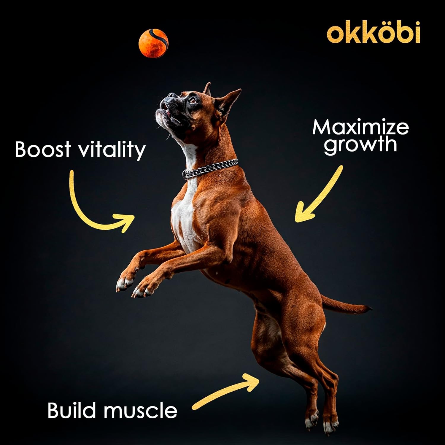 11-in-1 Muscle Gain Chews for Dogs, High Protein & Amino Acids, 150 Chews – Chic
