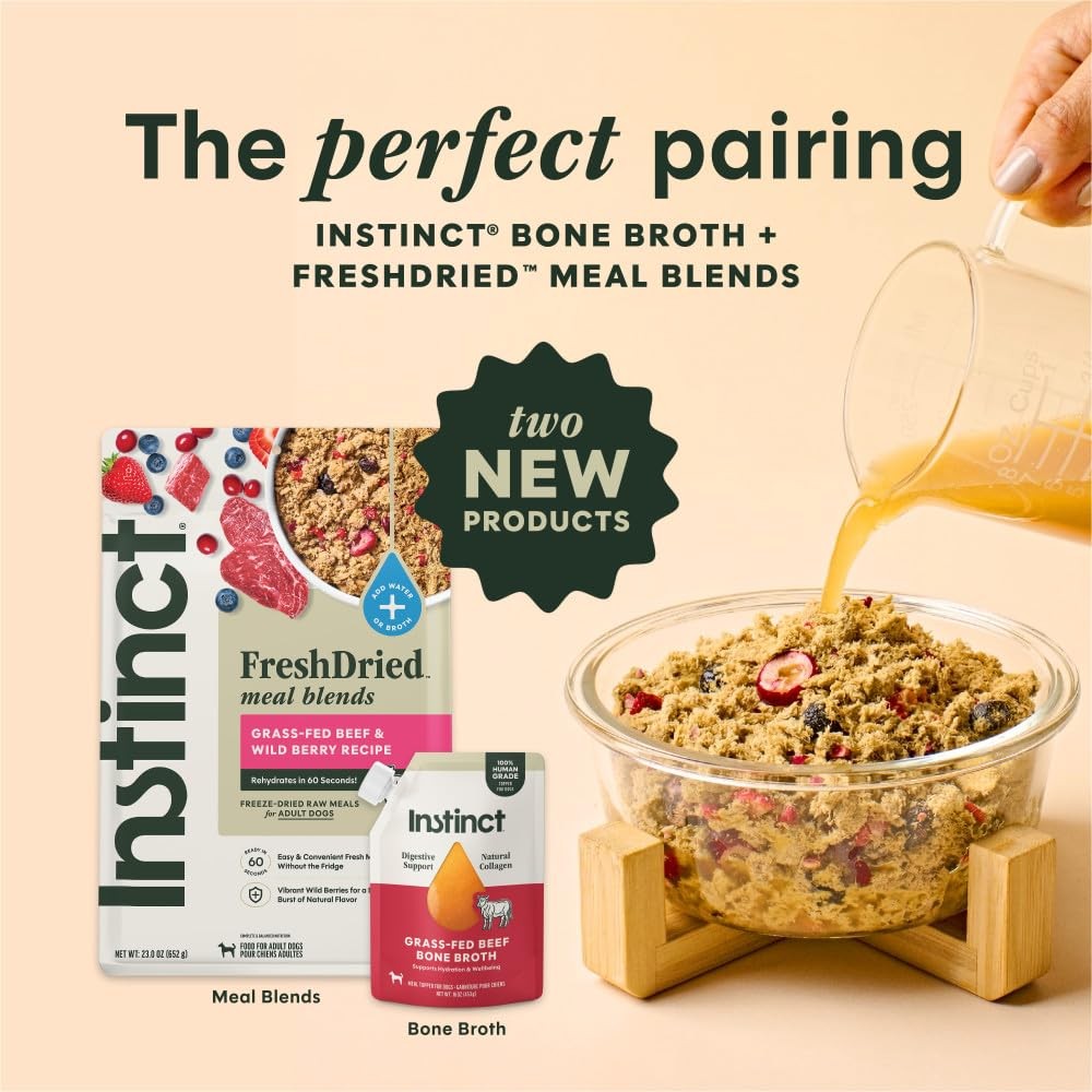 Instinct Bone Broth, Meal Topper for Dogs, Human 16 Fl Oz (Pack of 1), Silver