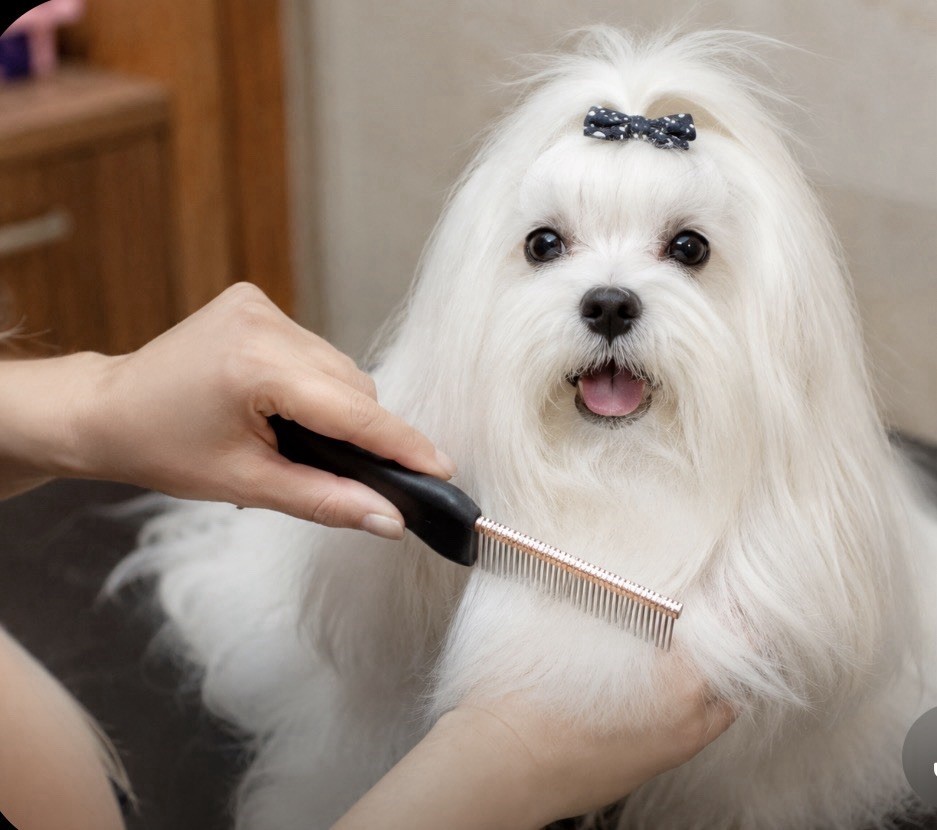 Rubbermaid Pet Grooming Comb Long Hair Dogs Shih Tzu Maltese Yorkie NEW