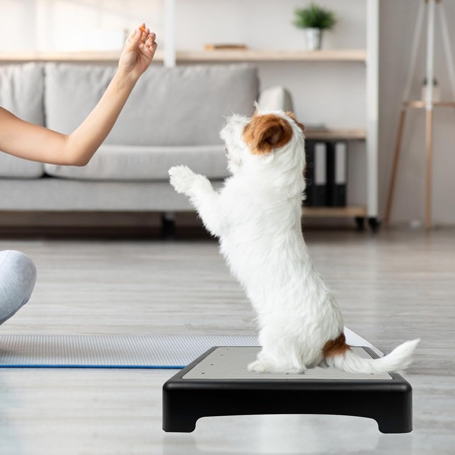 Dog Training Place Board with Non-Skid Surface, Dog Platform for Training, Porta