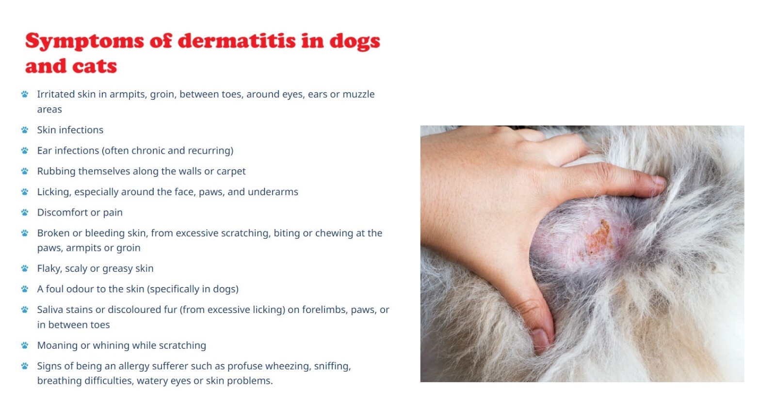 IRRITATION DE LA PIEL CREMA FOR PARA PERROS Y (4 Oz- Made in USA)