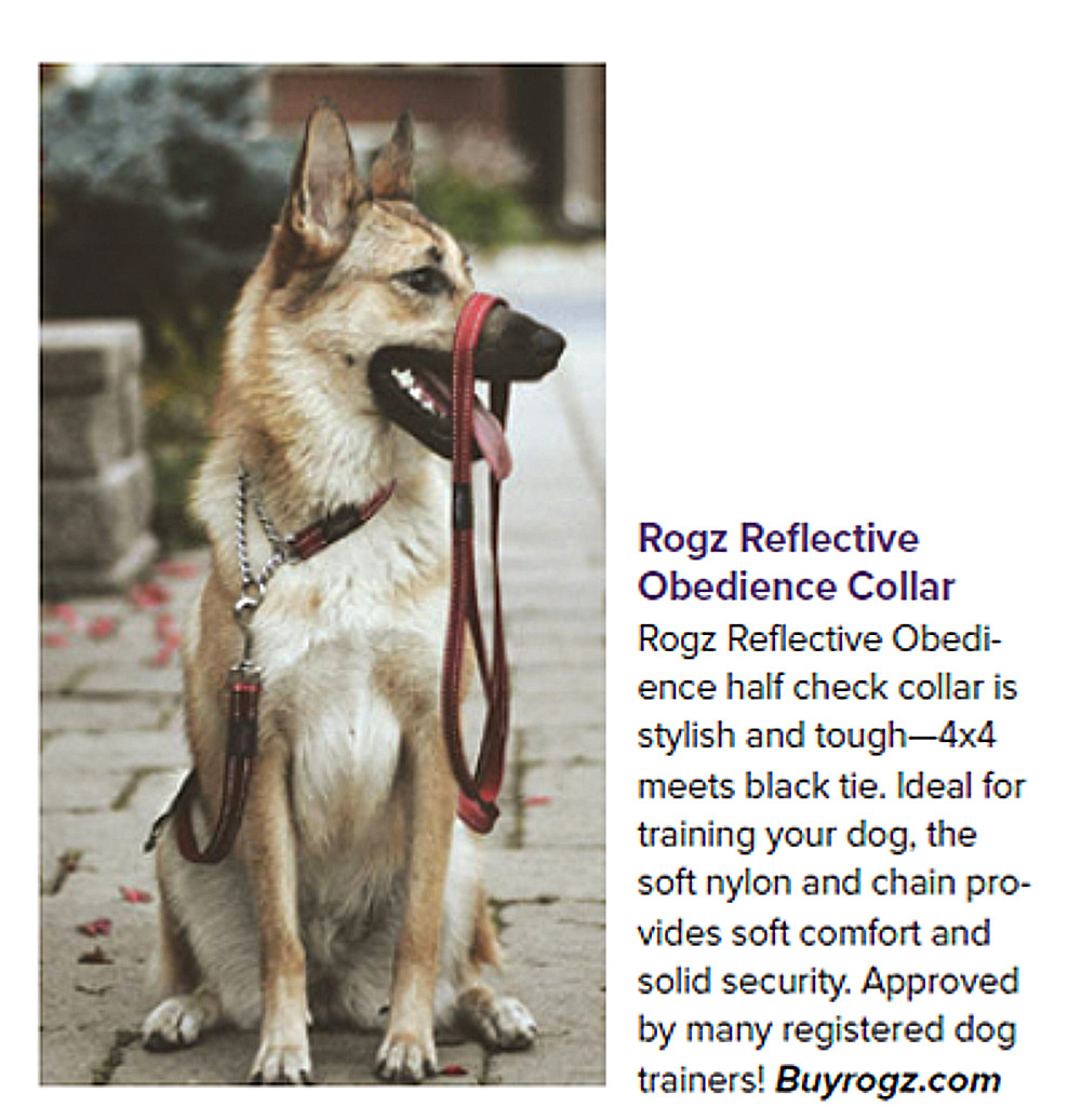 Rogz Dog Obedience Training Collar Reflective S-M-L-XL-XXL