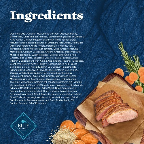 Blue Buffalo Wilderness High Protein Natural Adult Dry Dog Food