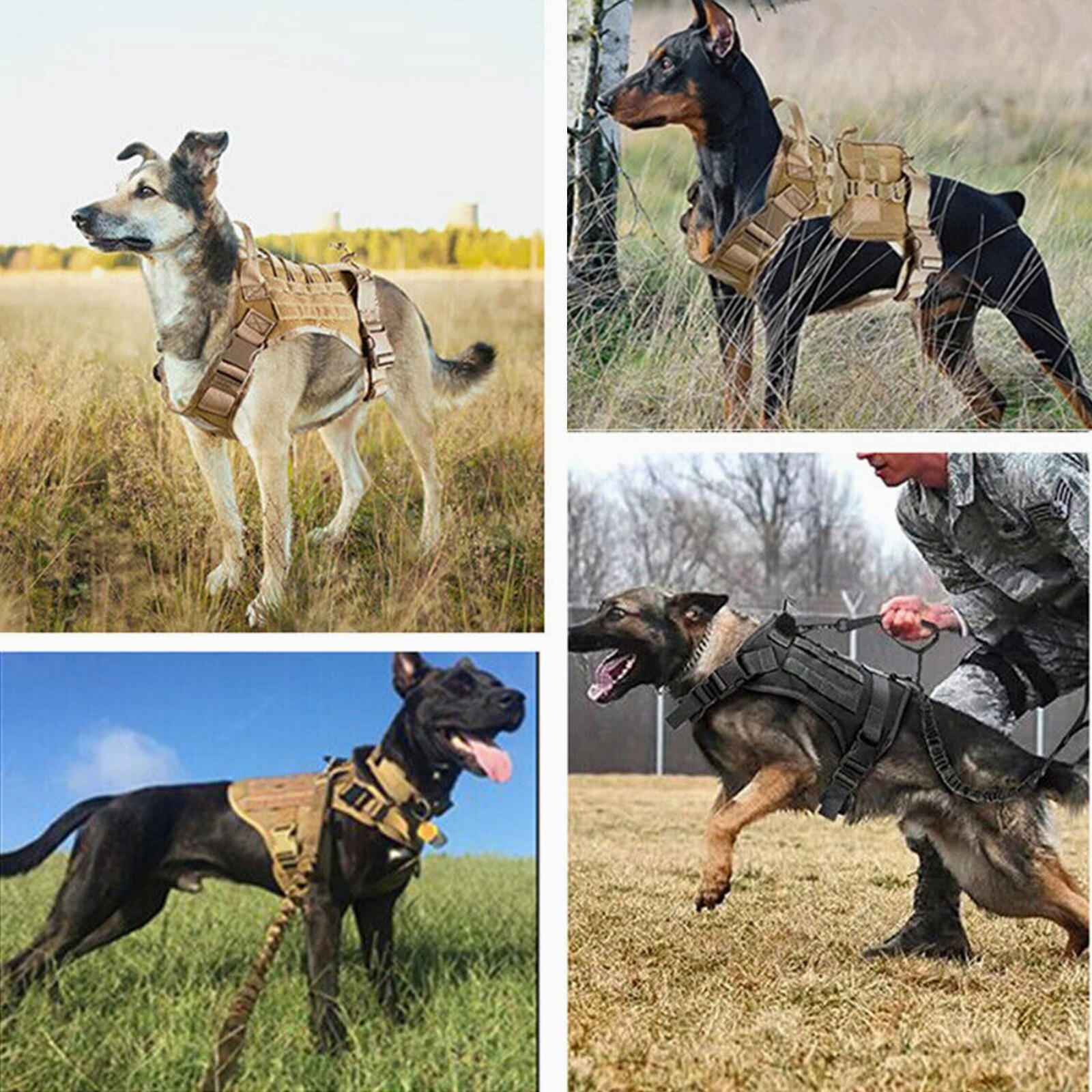 Tactical Dog Vest US Working Dog Military Harness with Handle No-pull Large