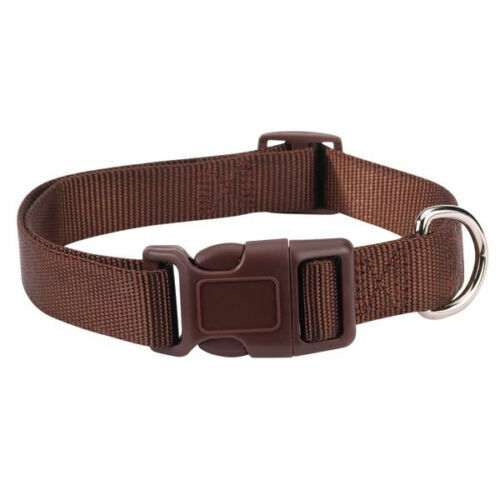 Casual Canine Nylon Dog Collar w Quick Release Buckle XS S M L 11 Colors