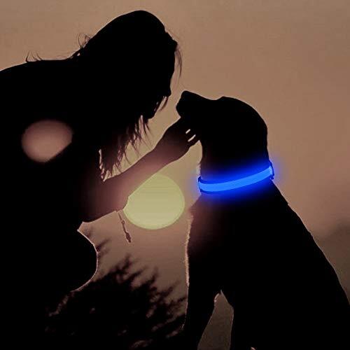 LED Dog Collar, Light Up Dog Collar USB Rechargeable, Assorted Colors , Sizes