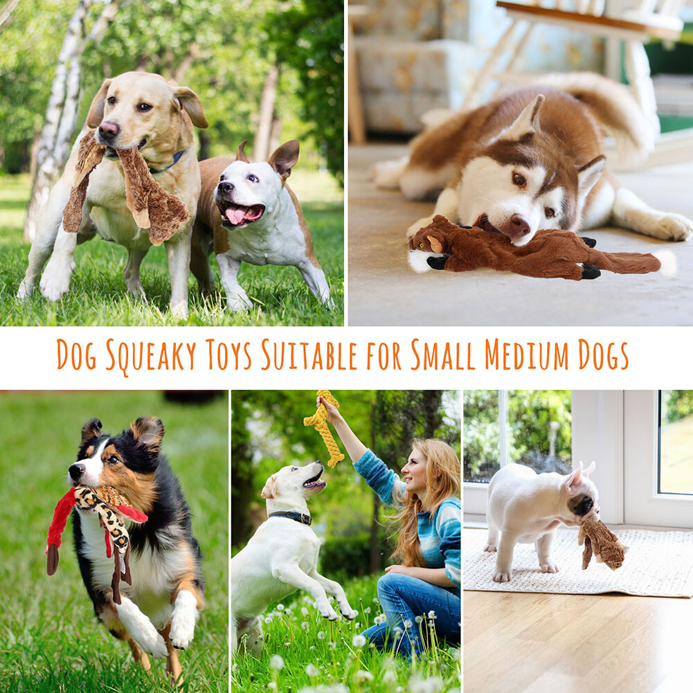 Dog Squeaky Toys 5 Pack Pet Toys Crinkle Dog Toy No Stuffing Animals Plush Chew