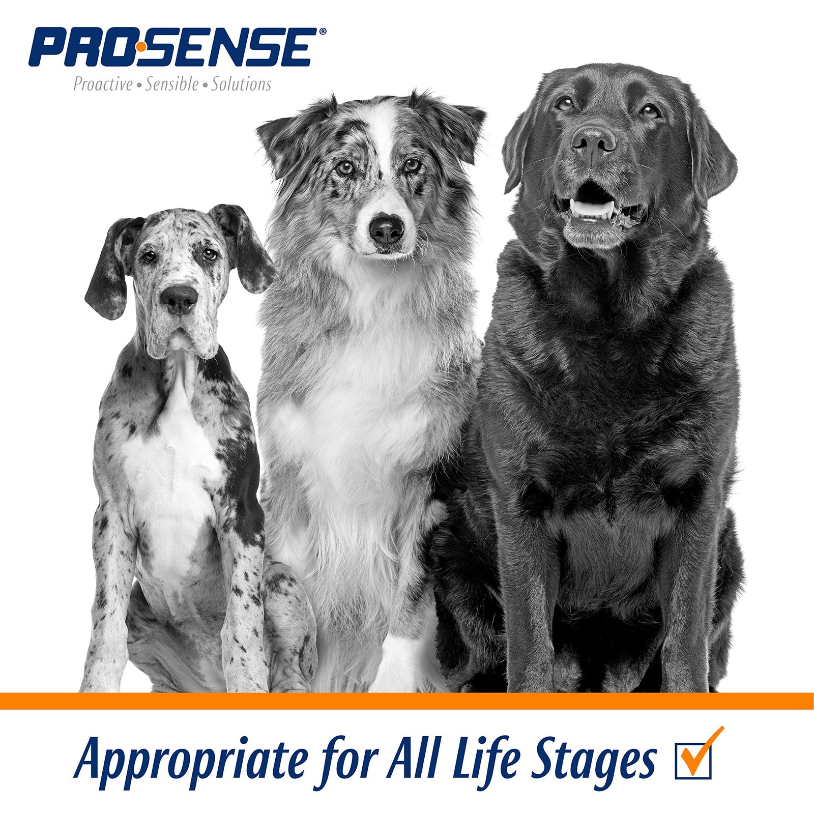 ProSense Vitamin Solutions 90 Count, Chewable Tablets for Dogs, 90 Count
