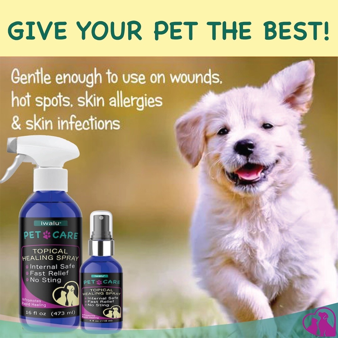 BEST Healing Soothing Spray Dog Cat Skin Irritation Dermatitis Wounds Bites