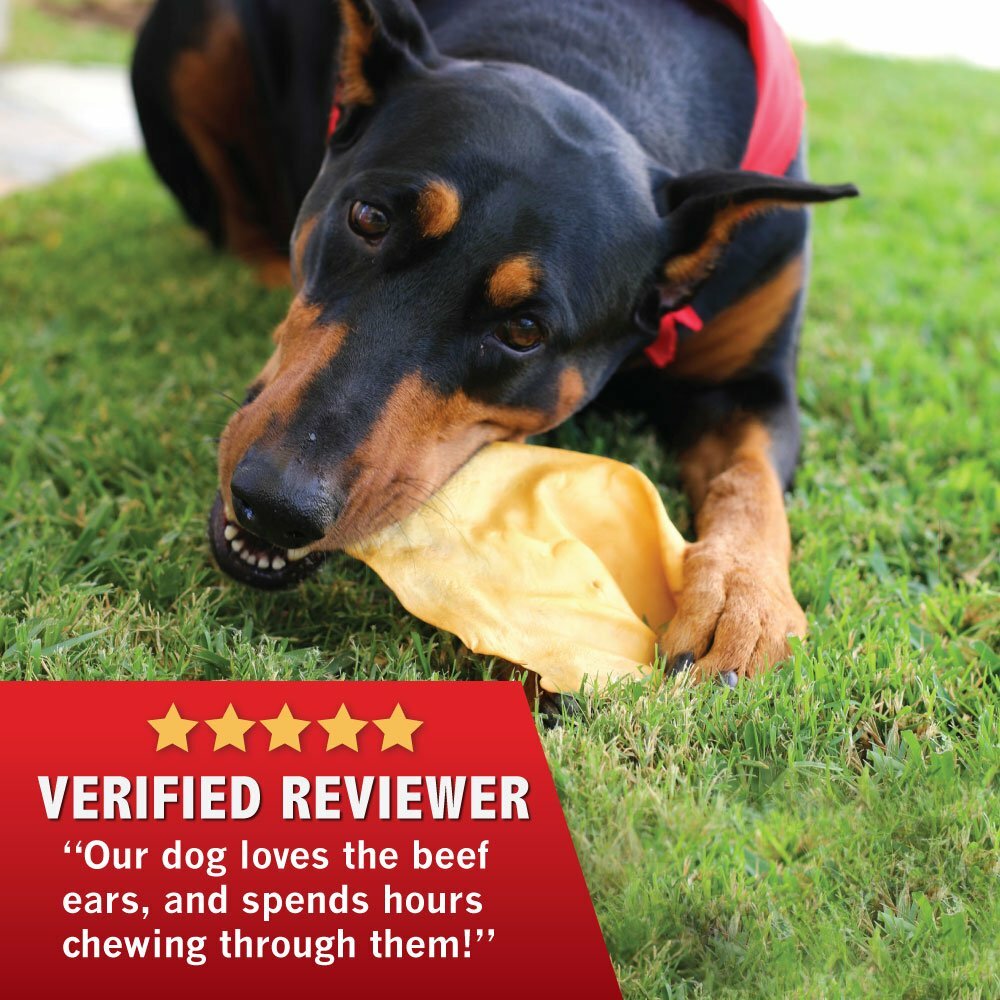 All Natural Beef SMOKED Cow Ears DOG Treats 50 count -BRC Certified
