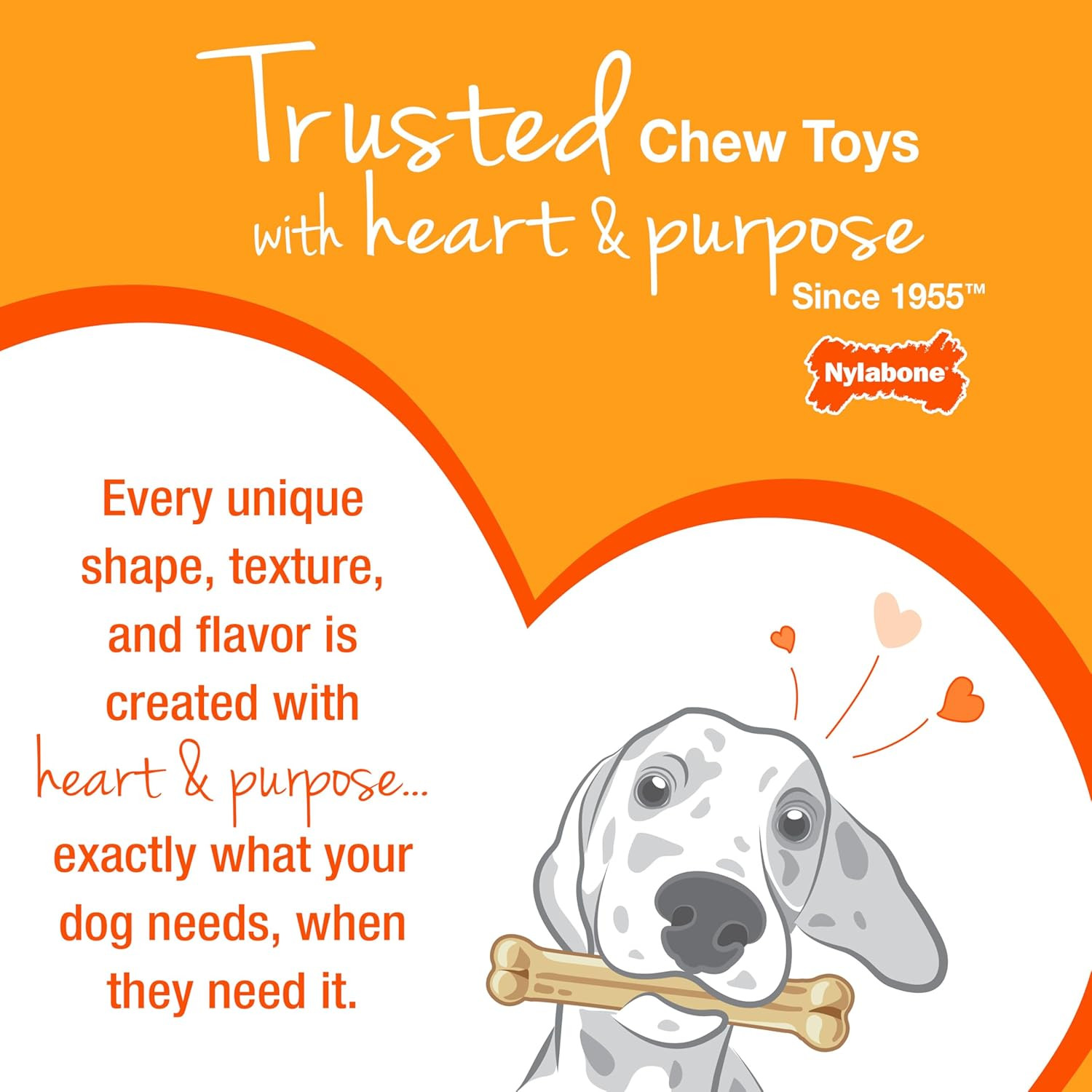 Ring Bone Chew Toy for Puppies, Puppy Teething Toys, Puppy Enrichment Toys, Chic
