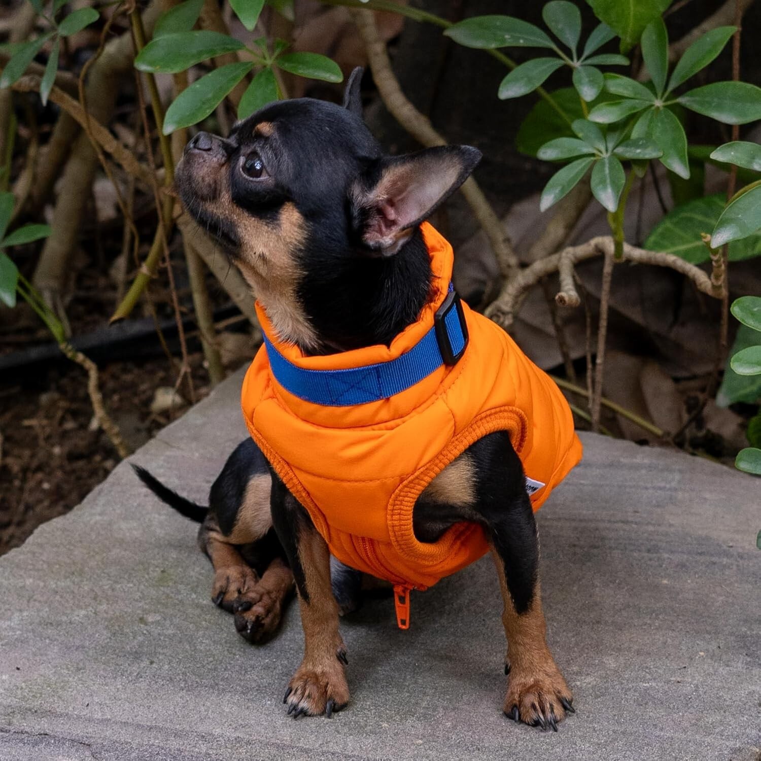 Dog Clothes Hoodie Cozy Warm Outfit Sweater Pullover Hug Pupee