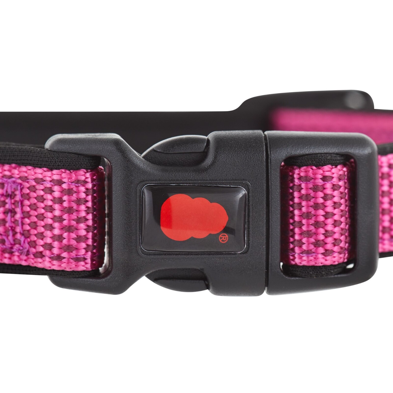 KONG Comfort Padded Dog Collars S M L XL BRAND NEW Assorted Colors! DISCONTINUED