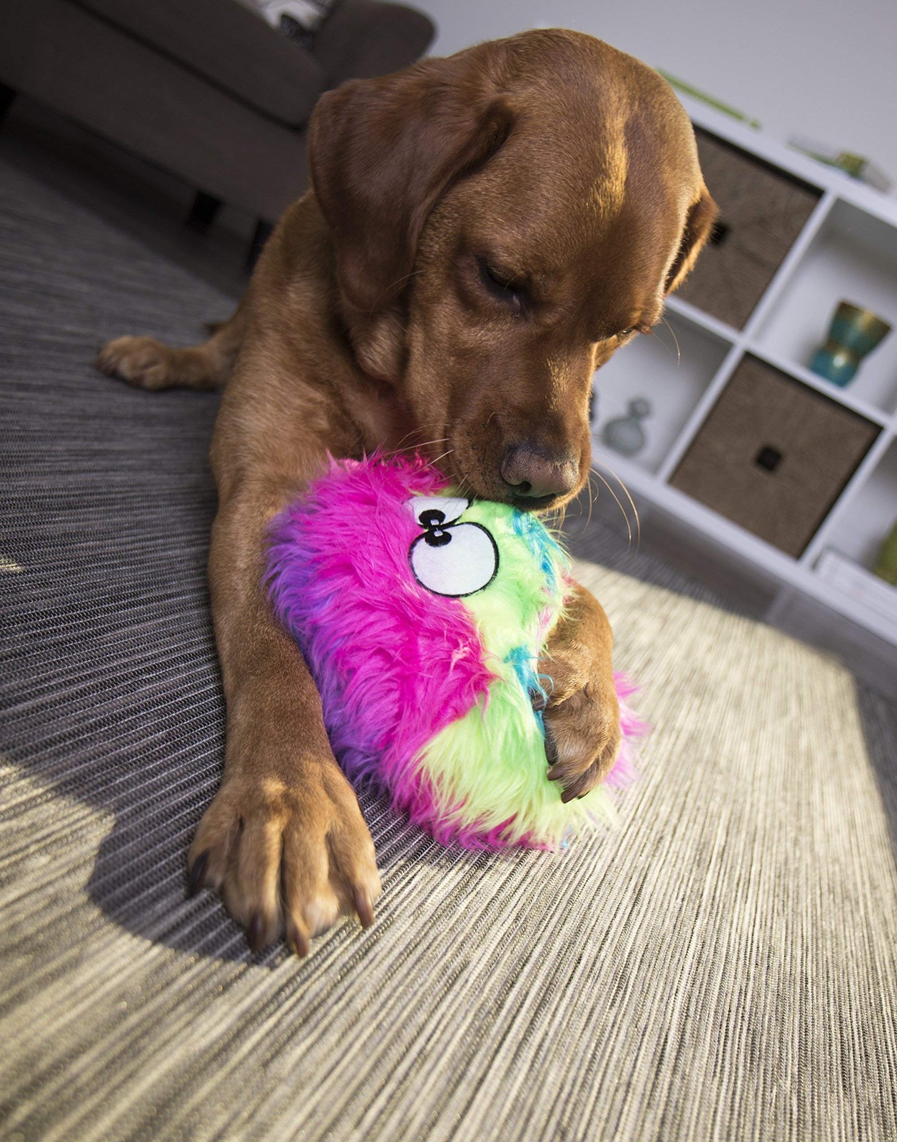 goDog Furballz Rainbow Plush Dog Toy with Chew Guard Technology, Large, Rainbow
