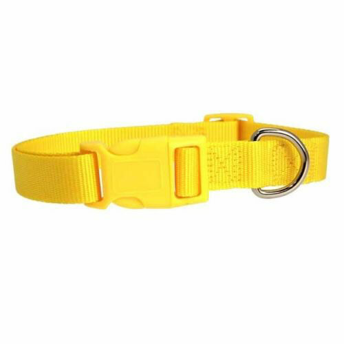 Casual Canine Nylon Dog Collar w Quick Release Buckle XS S M L 11 Colors