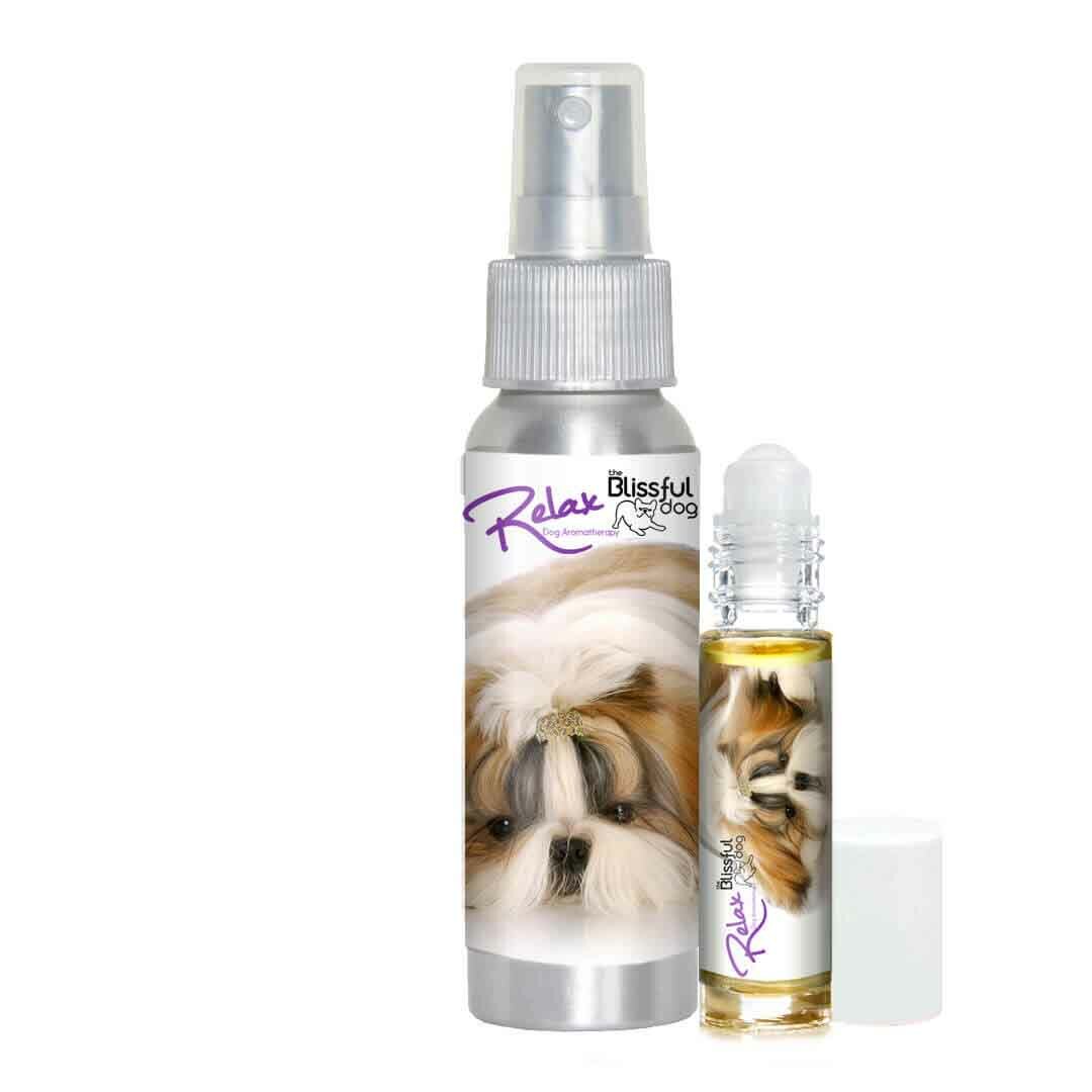 Shih Tzu Relax Dog Aromatherapy | Calms Your Anxious, Scared Shih Tzu Naturally