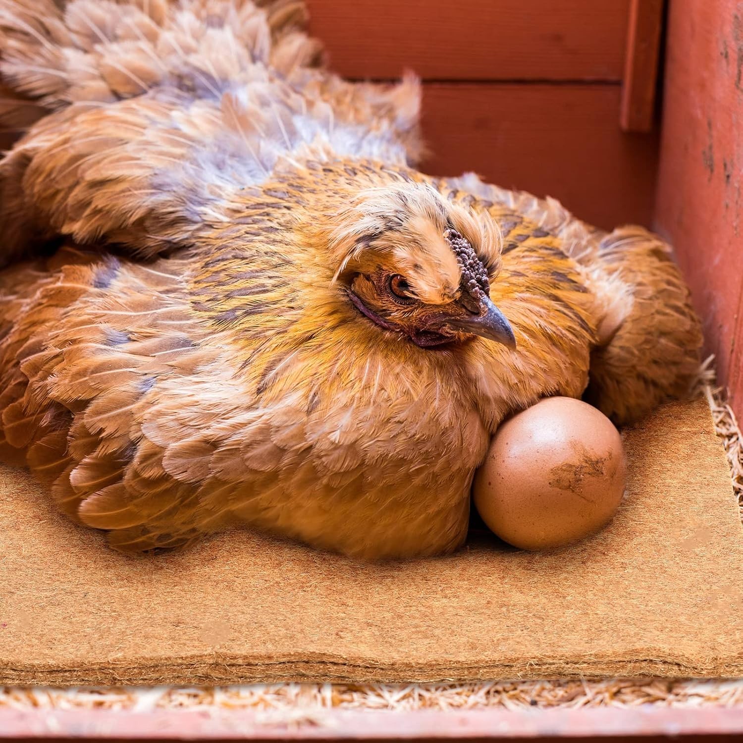 Aoriher 24 Pack Natural Hemp Chicken Nesting as shown on the pictures