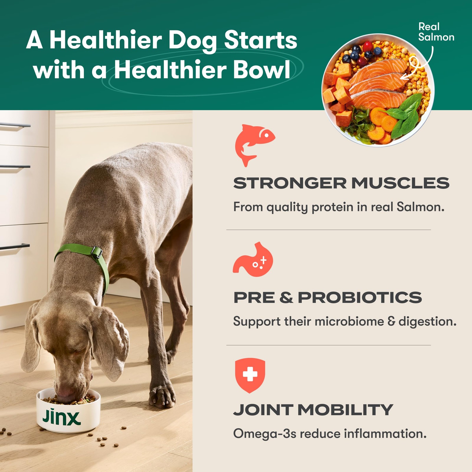 Jinx Premium Grain-Free Dry Dog Food, for All Lifestages 4 Pound (Pack of 1)