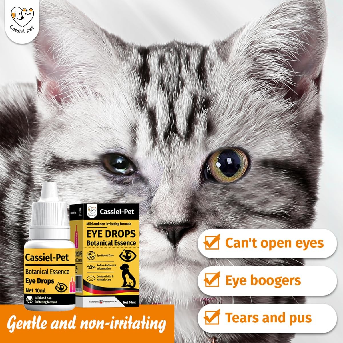 Cassiel pet Eye Drops for Infection Treatment, Soothe 1 Bottle, colorless