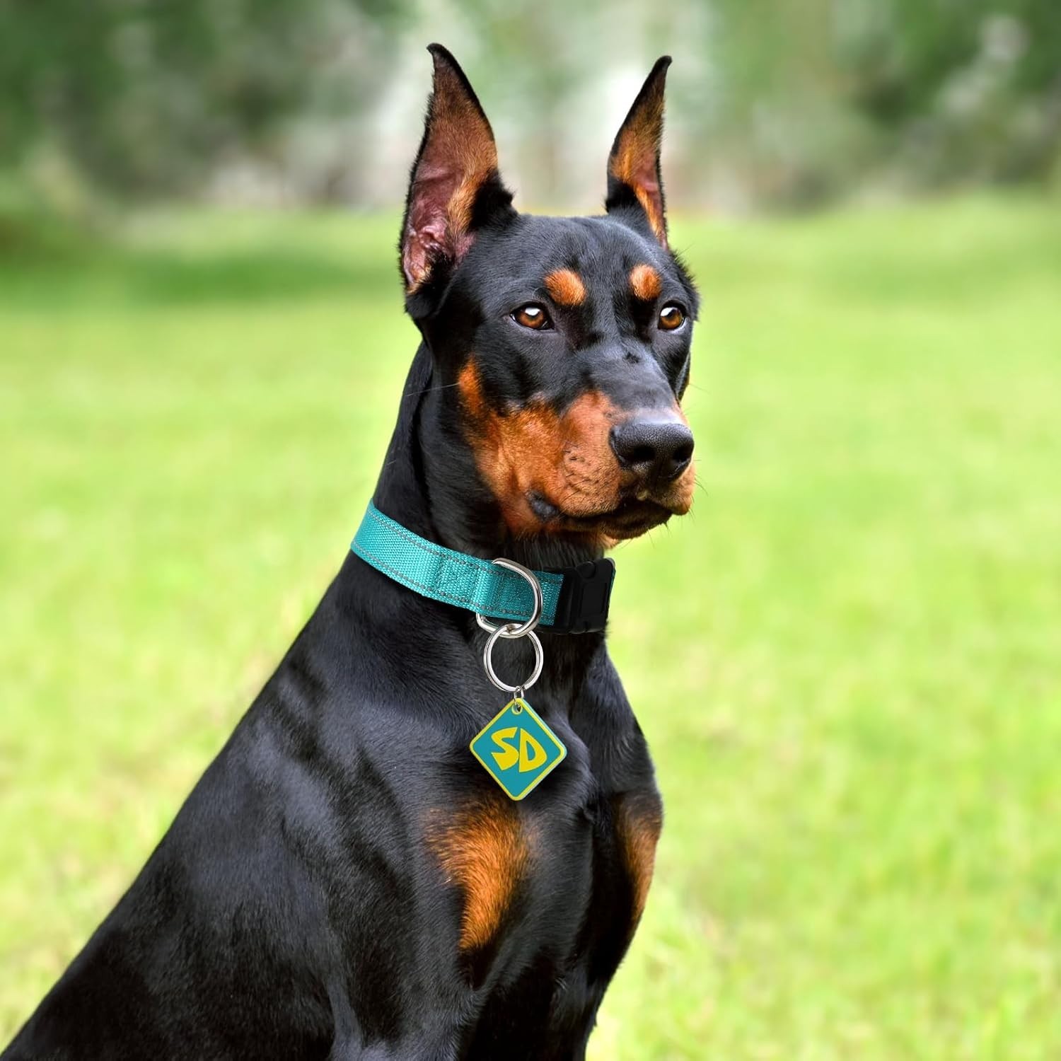 Dog Halloween Costumes SD Tags with Nylon Adjustable Collar SD Collar Tags