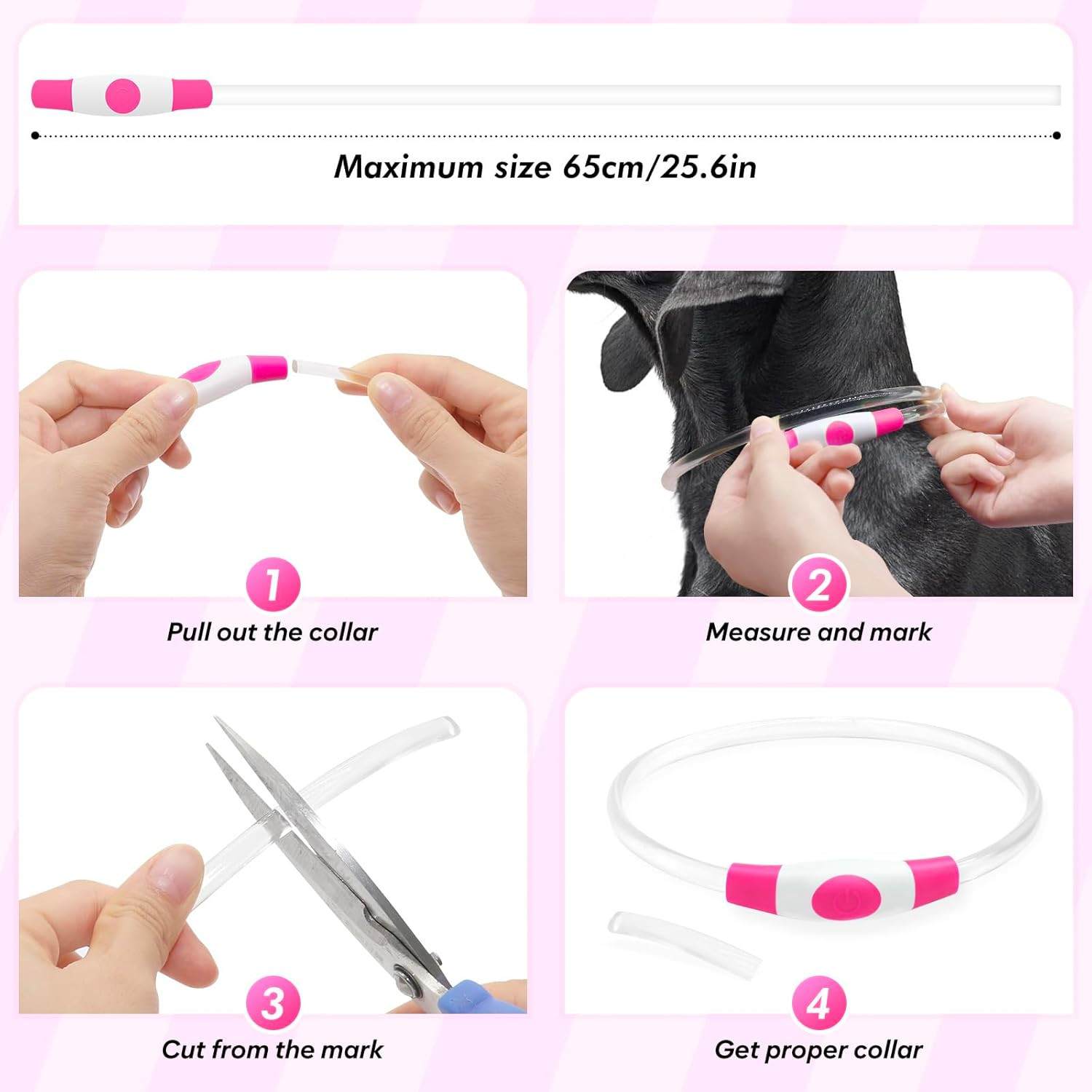 Rechargeable LED Dog Collar – Waterproof Lighted Safety Collar for Night Walks