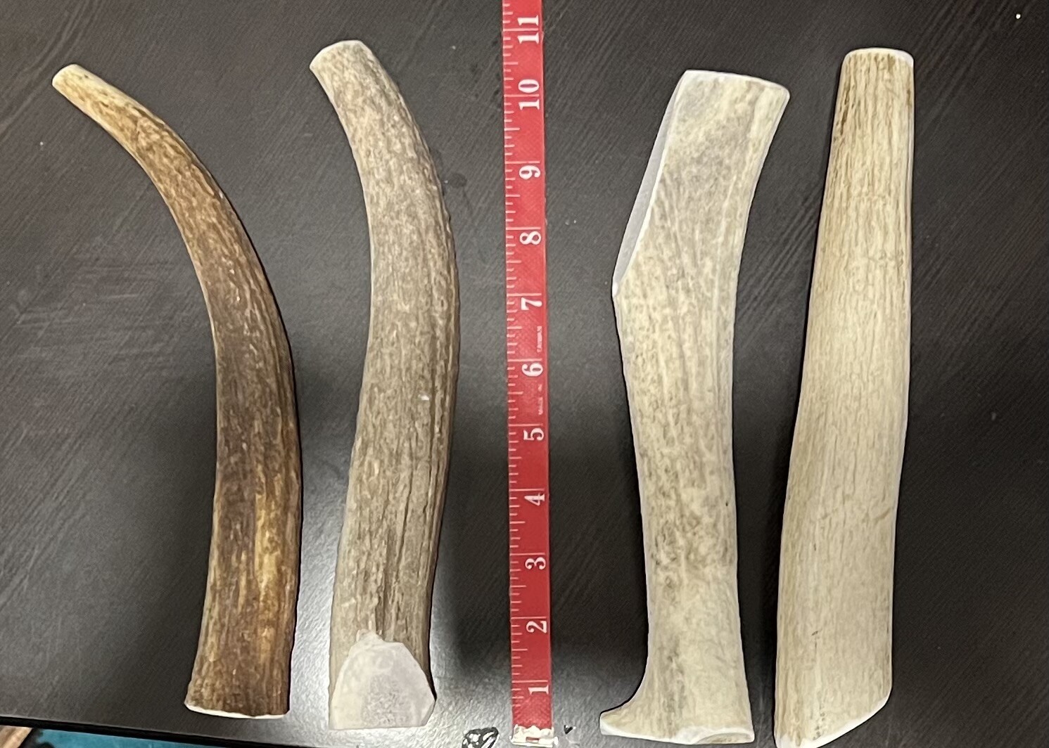 5 Pounds Whole JUMBO Elk Antlers 6″ – 12″ Long FRESH Dog Long Lasting Chews