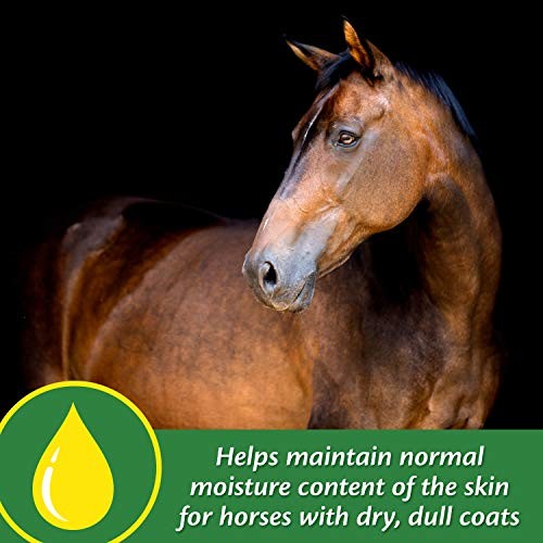 Farnam Super 14 Healthy Skin & Coat Supplement for Horses, Shiny Coat, 2.75 Lb