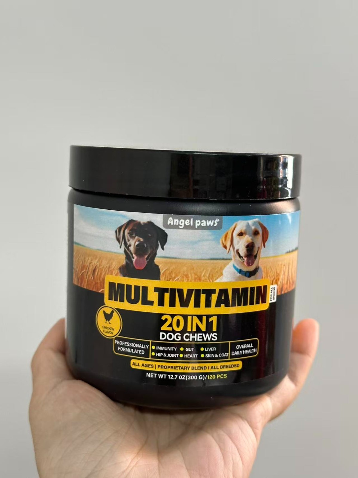 20-in-1 Dog Multivitamin with Glucosamine & MSM, Healthy Boost & Overall Natural