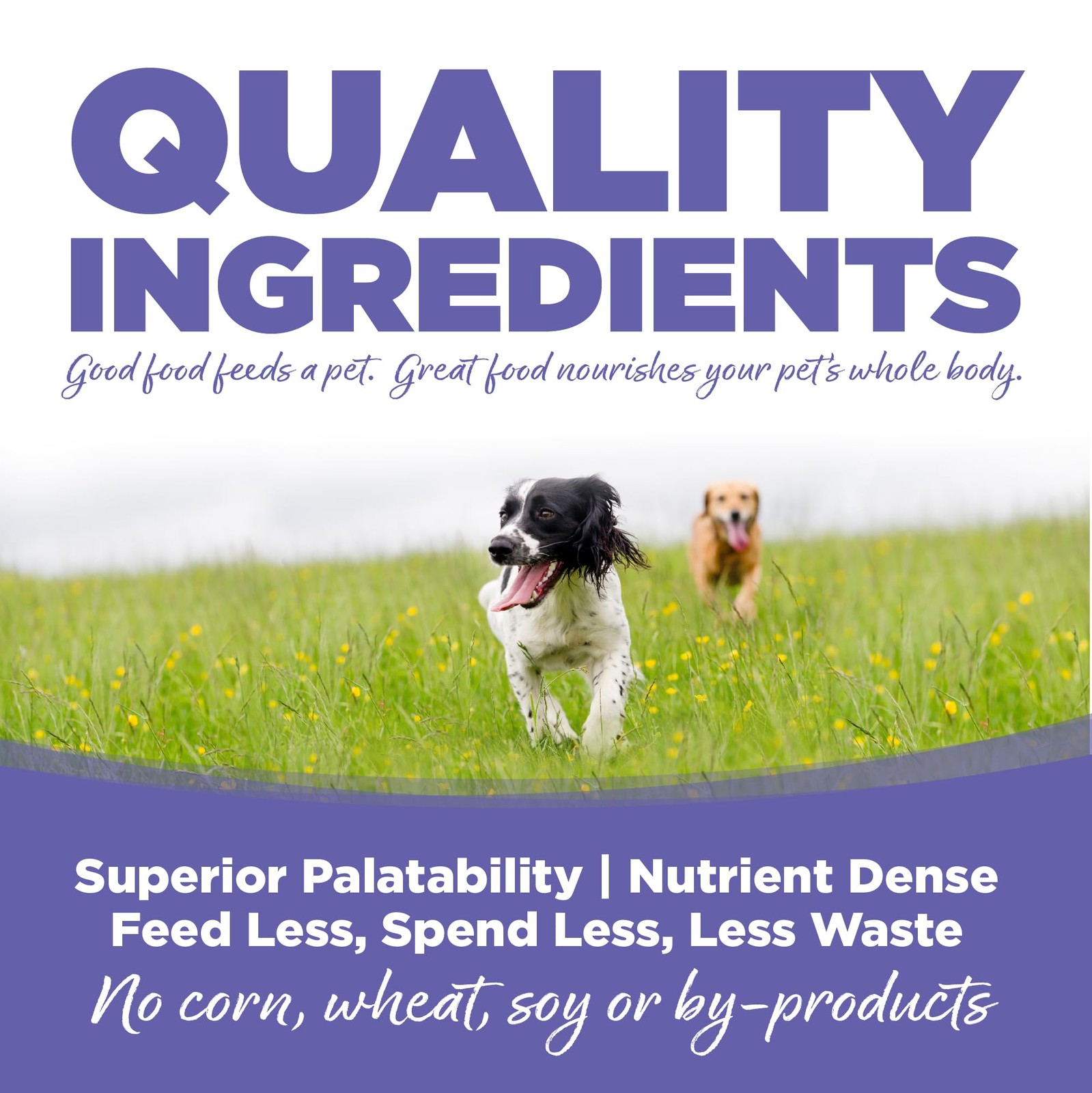 NutriSource Small & Medium Breed Puppy Dry Dog 4 Pound (Pack of 1), Brown