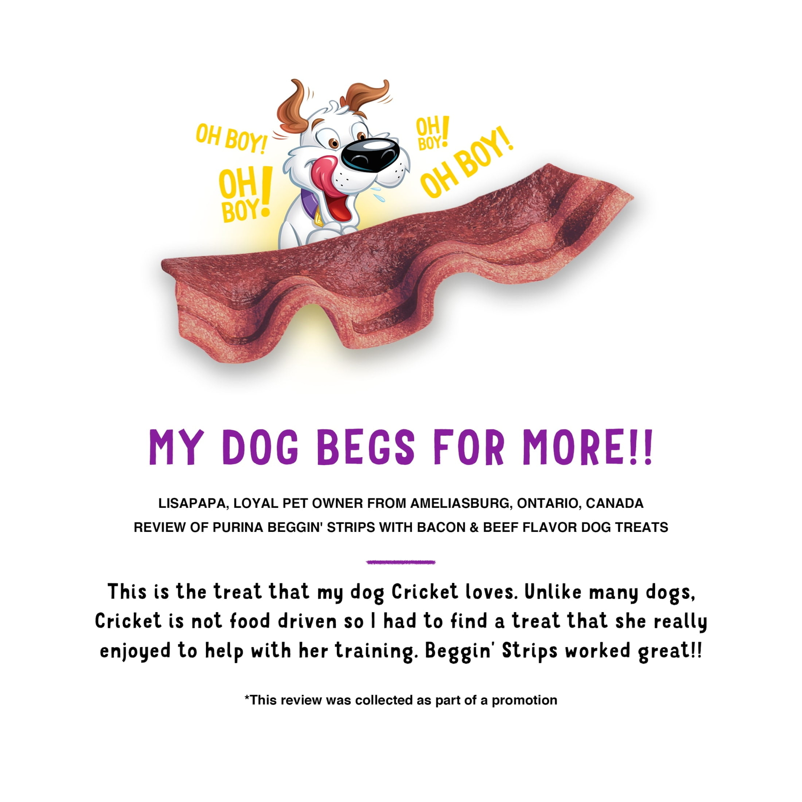 Strips Dog Treats with Real Bacon & Beef Flavors Tender Chews, 40 oz Pouch