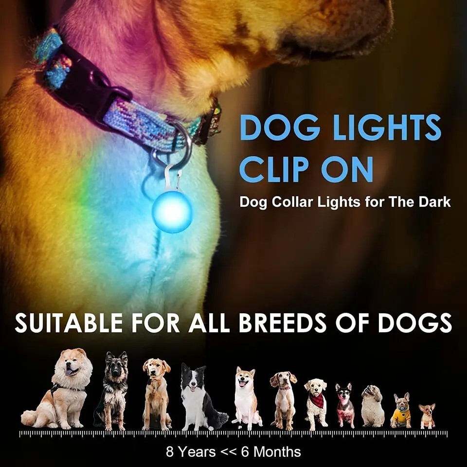 1pcs Pet Collar Pendant LED dog collar Night light pendant security luminous