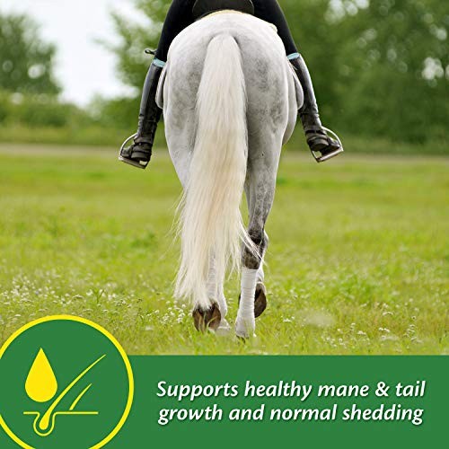 Farnam Super 14 Healthy Skin & Coat Supplement for Horses, Shiny Coat, 2.75 Lb