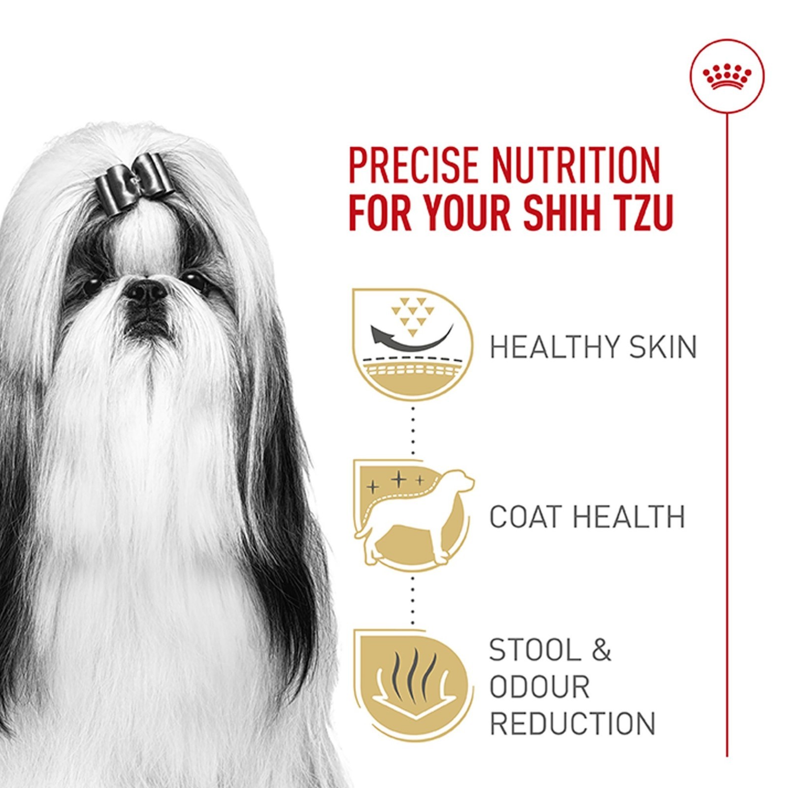 Royal Canin Adult Dry Dog Food – Shih Tzu Breed Health Nutrition, 10Lb
