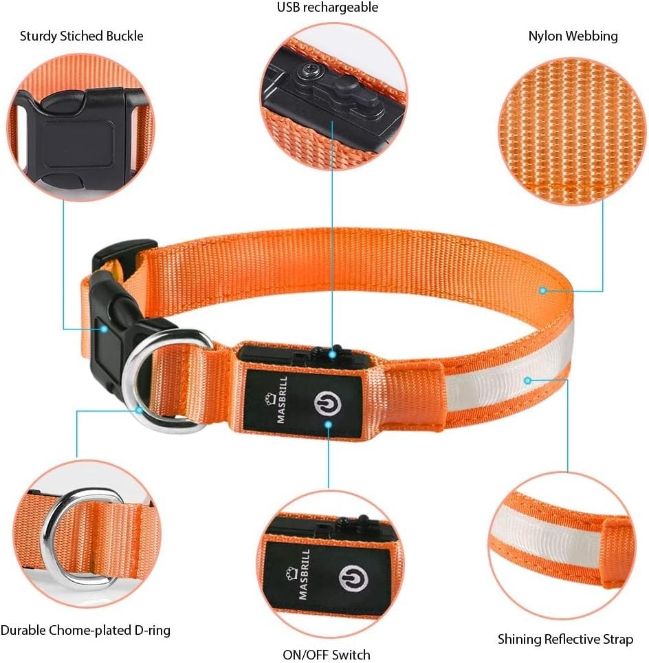 High Visibility LED Dog Collar – Waterproof Glow Collar for Nighttime Safety