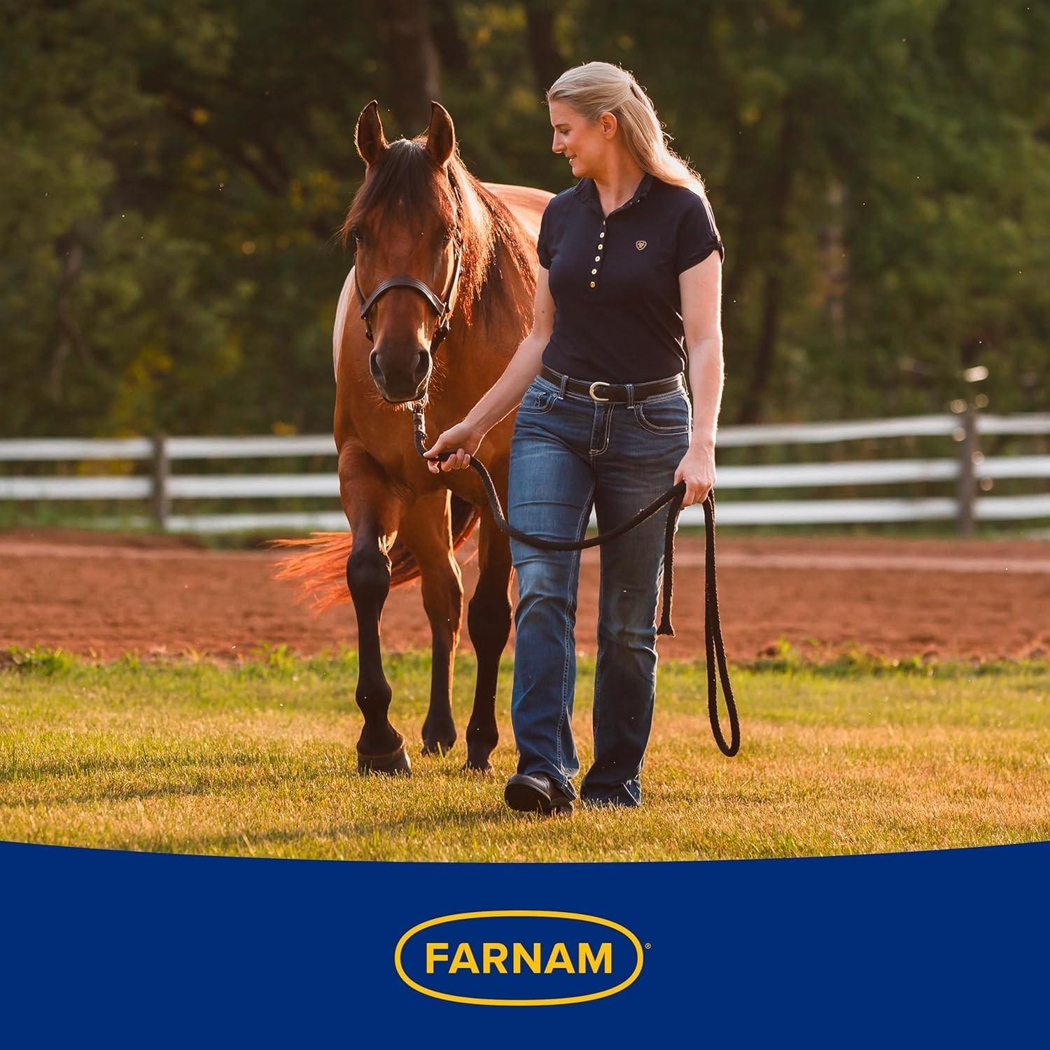 Bitter Tasting No Chew Spray – 32 Oz for Horses – Safe and Effective Protection