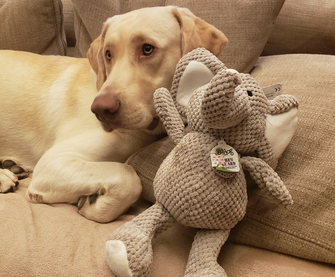 GoDog Chew Guard Technology Checkers Elephant Plush Durable Large Dog Toy