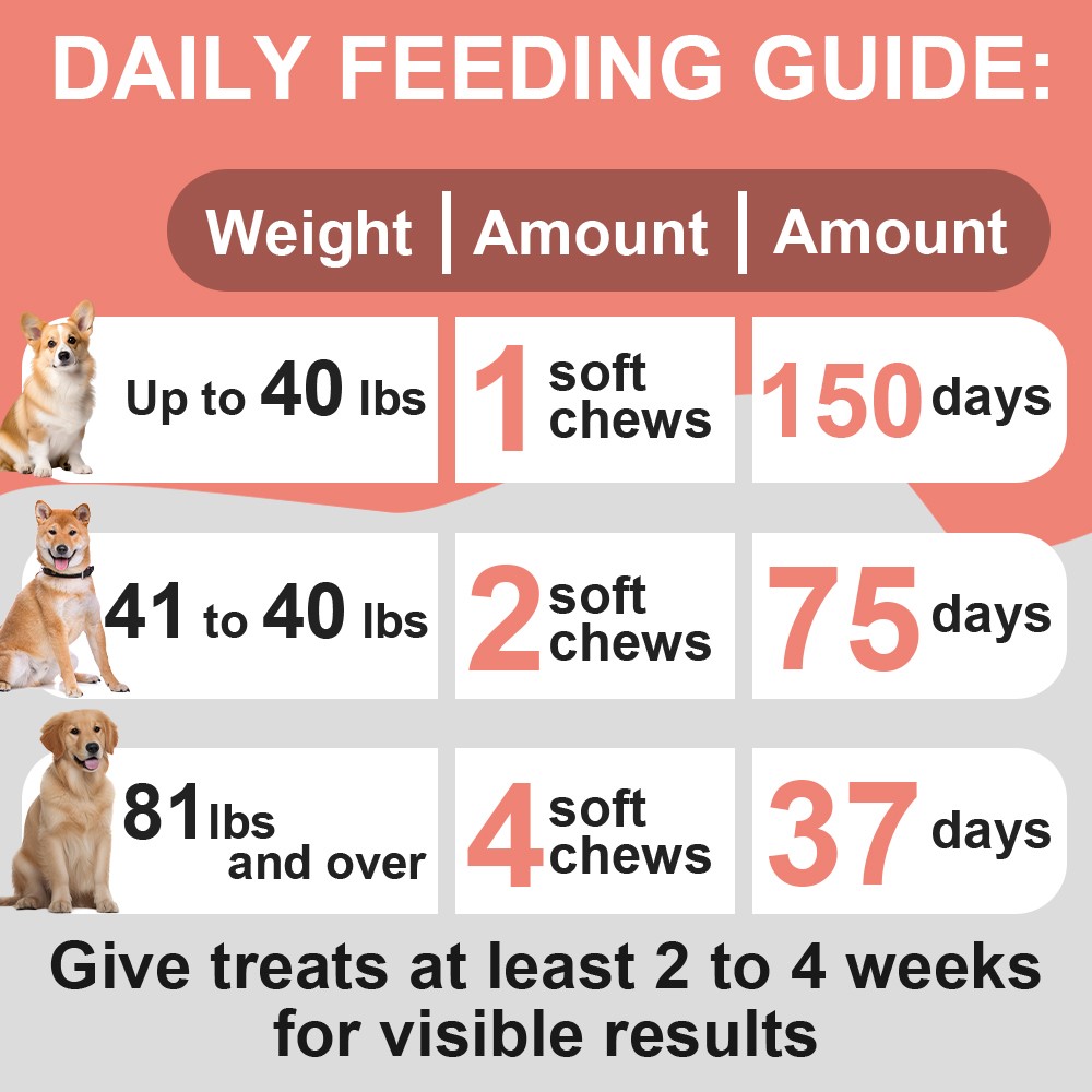 Probiotics for Dogs Soft Chews for Seasonal Allergies, Gut, and Digestive Health