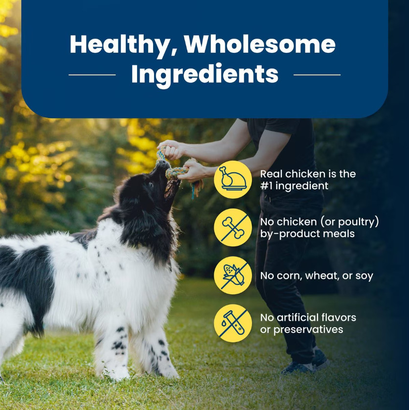 Blue Buffalo Life Protection Formula Adult Healthy Weight Dry Dog Food, 30 lb