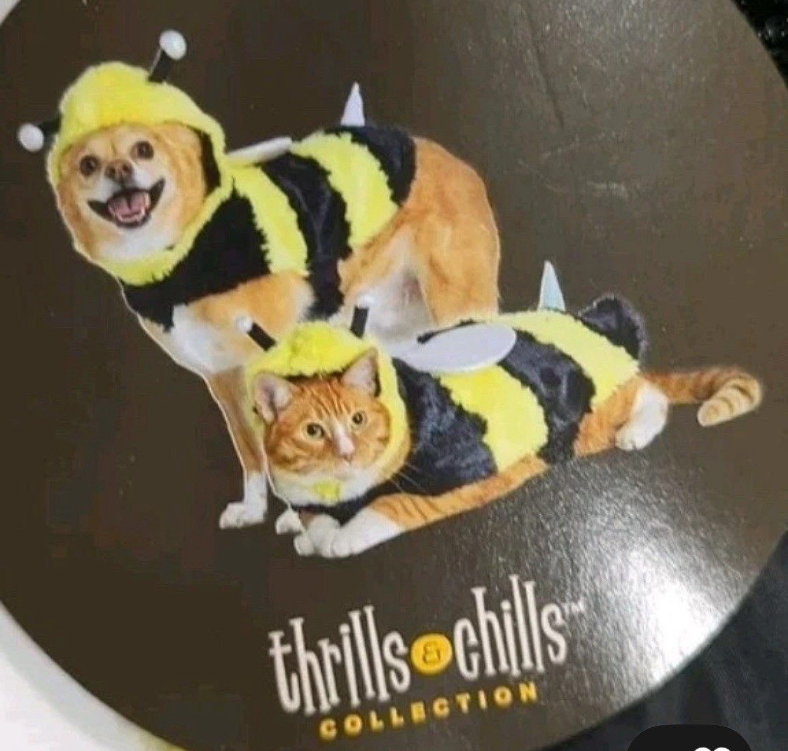 Petco Thrills & Chills Collection Bumble Bee Pet Costume Dog/Cat Sz Xtra Small
