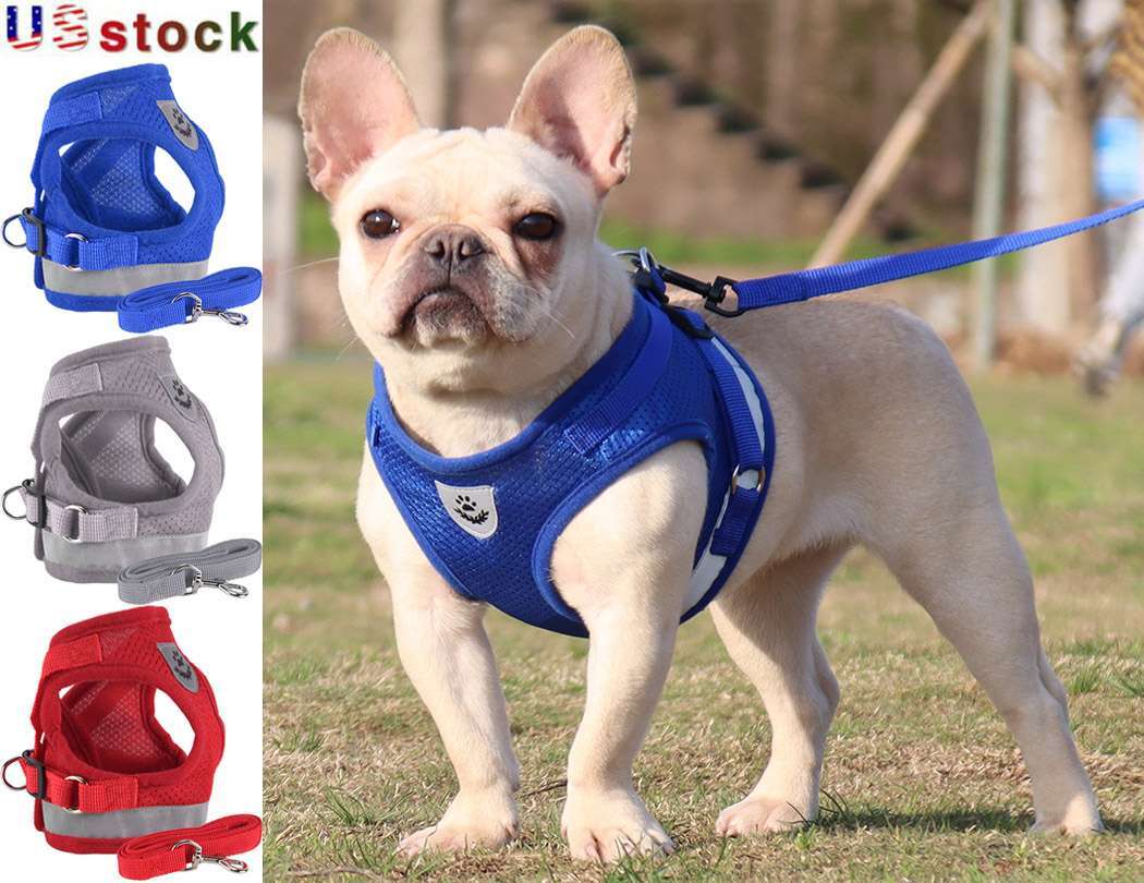 Dog Harness Chihuahua Pug Pet Control Mesh Walk Collar Vest Harnes and Leash Set