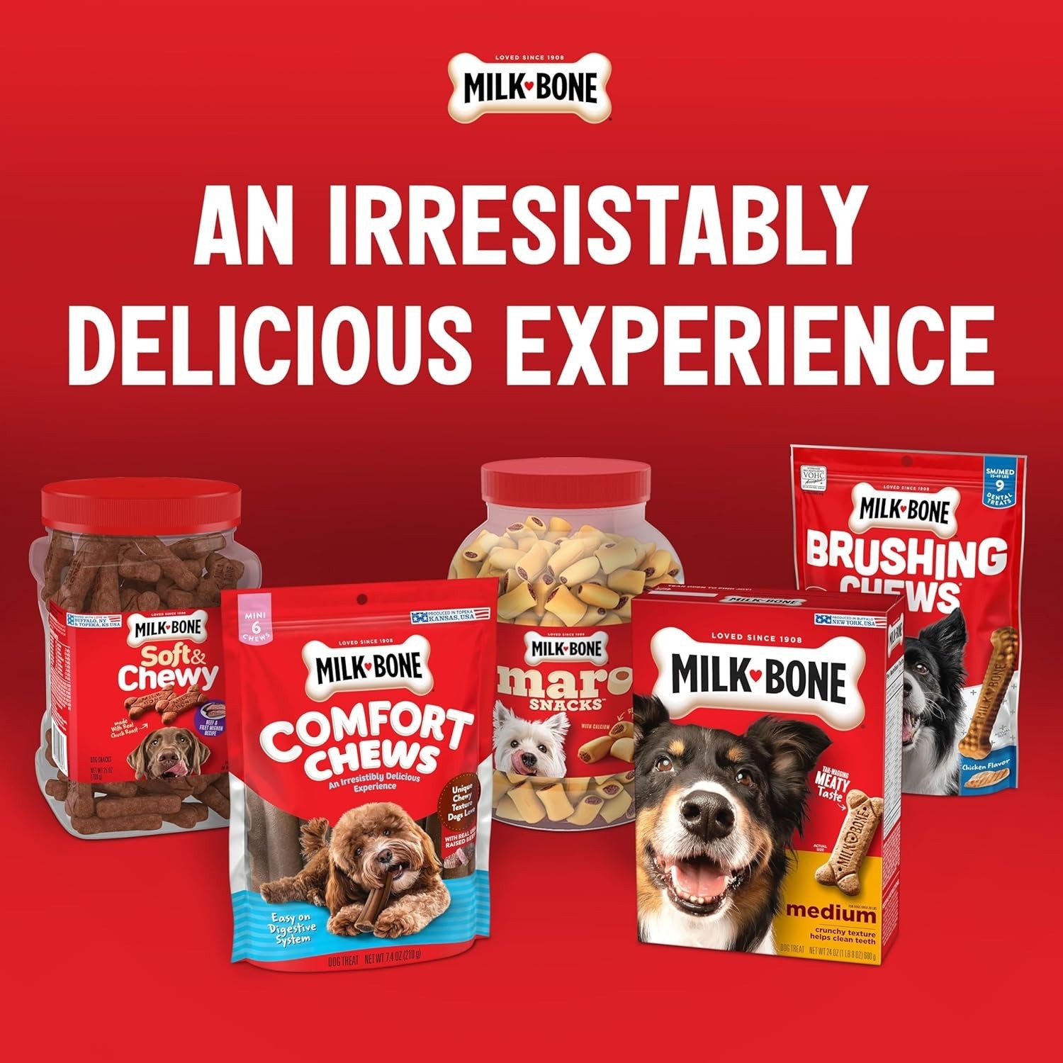 Milk-Bone Flavor Snacks Dog Treats, Small Biscuits, 24 Ounce Crunchy Texture Hel