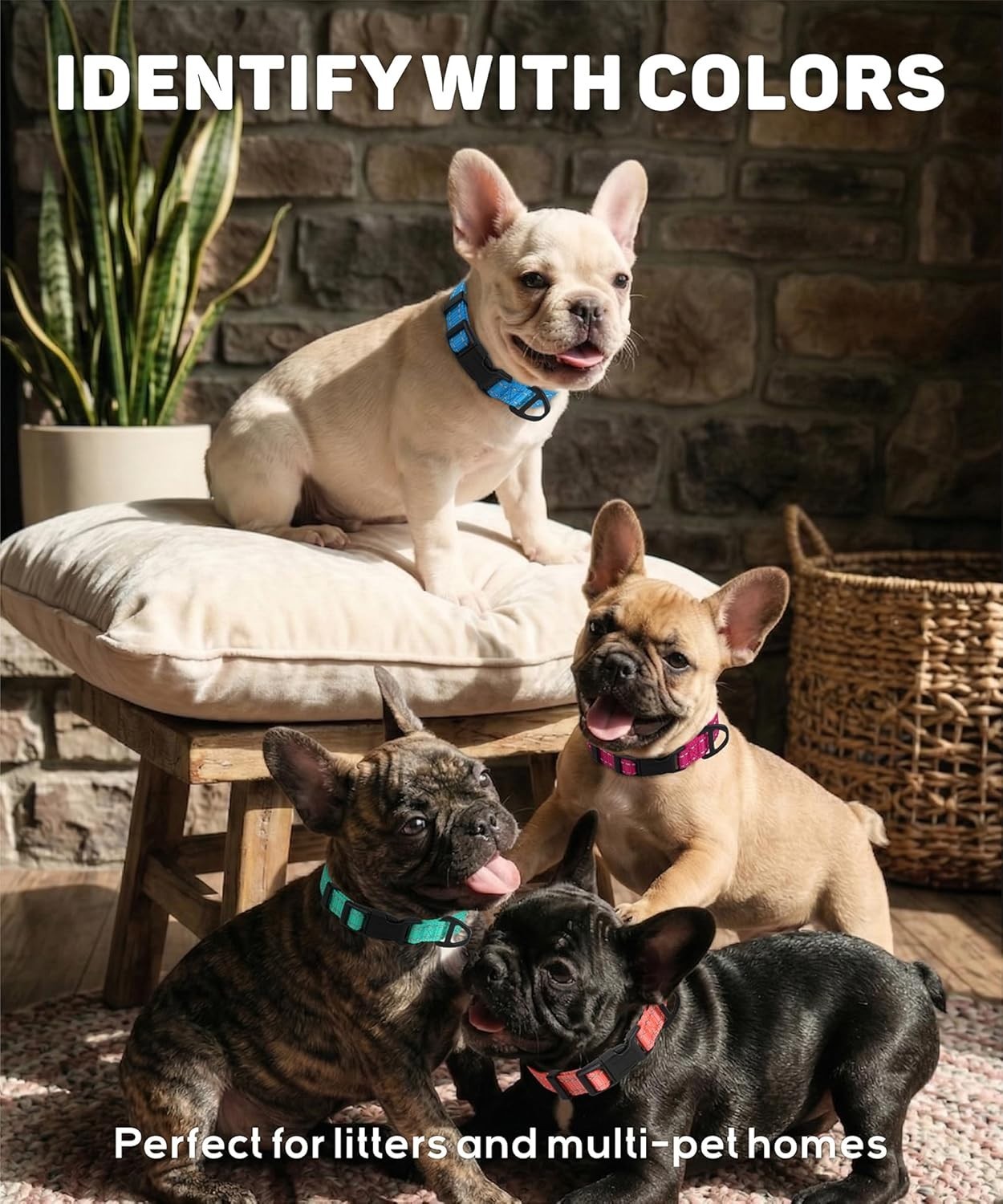 High-Visibility Reflective Dog Collar for Medium Breeds – Soft Nylon & Stylish