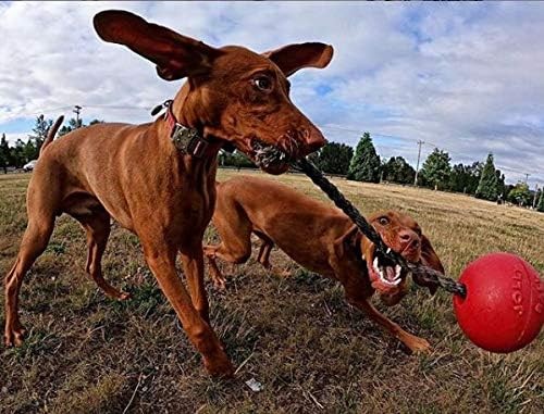 Jolly Pets Romp-n-Roll 8 inch Red Rubber Ball with Rope for Dogs