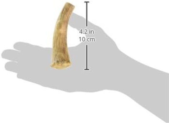 All-Natural Venison Chew Bones for Large Dogs – Long Lasting Dog Treats, 2 Count