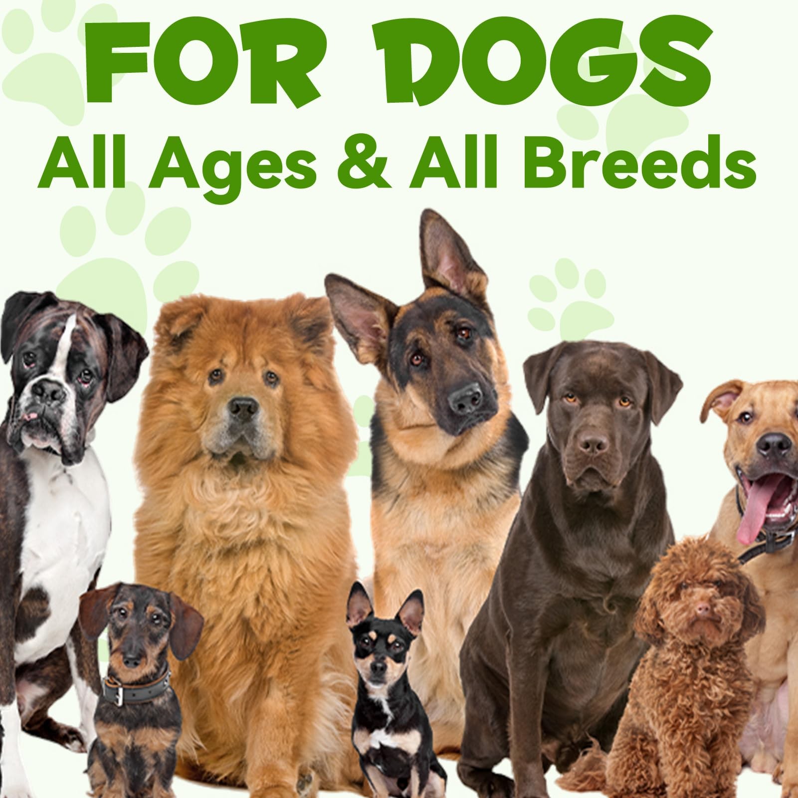 Probiotics for Dogs, 3 in 1 Dog Probiotic and Digestive Enzymes for Pet, Supp…