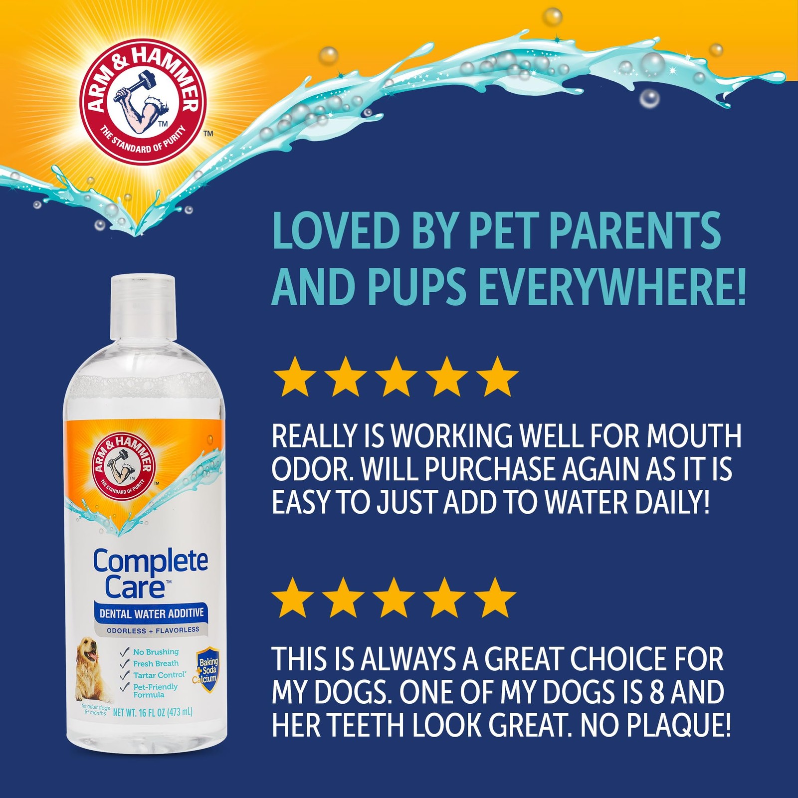 Arm & Hammer Dog Dental Water Additive Breath 16 Fl Oz (Pack of 1), White