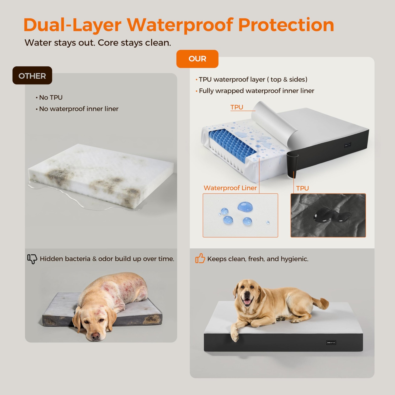 5 Inch Thick Orthopedic Dog Bed for Medium & Large Dogs, High Density Egg Cra…