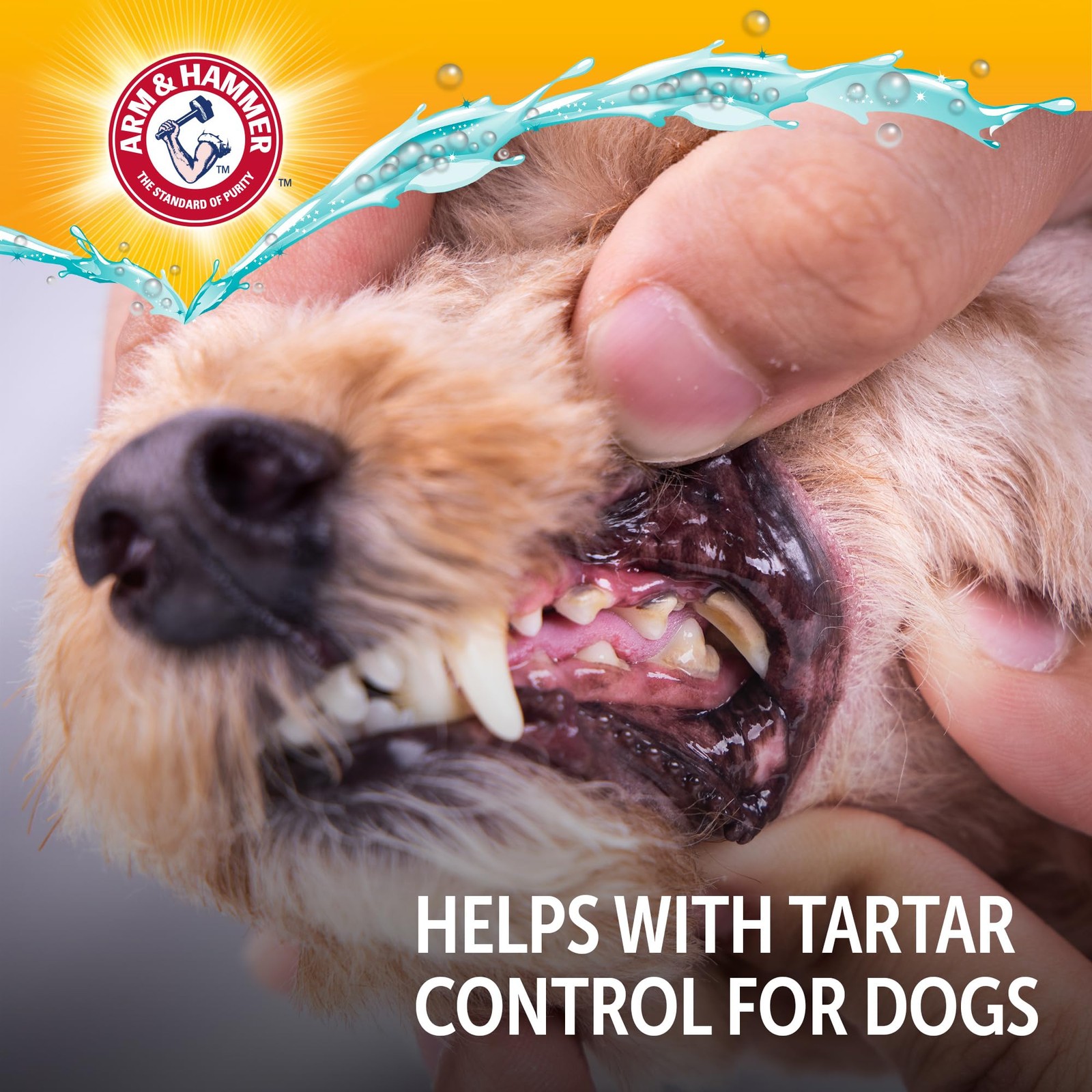 Arm & Hammer Dog Dental Water Additive Breath 16 Fl Oz (Pack of 1), White